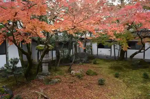 仁和寺の庭園