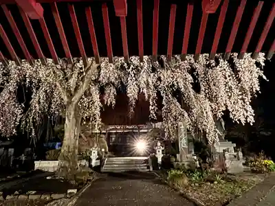 妙道寺(栃木県)