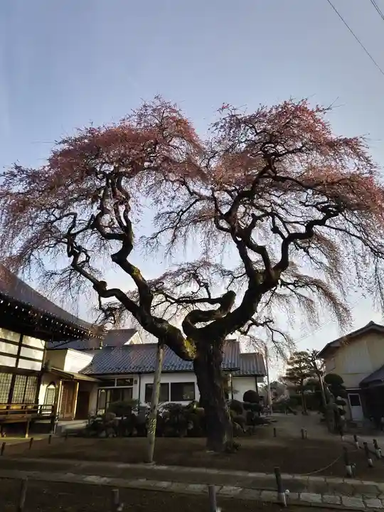 相応寺(福島県)