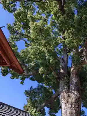 菅原天満宮(大阪府)