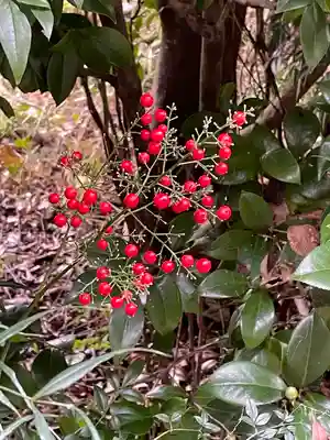 白金氷川神社(東京都)
