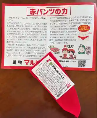 とげぬき地蔵尊 高岩寺(東京都)