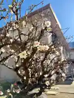 福王山 慈眼寺(東京都)