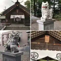 信濃神社の狛犬