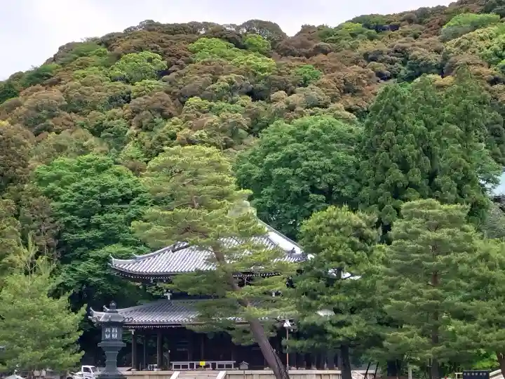 知恩院の{uncategorized: "未分類", other: "その他", undefined: "問題あり", building: "その他建物", grave: "お墓", sacred_gate: "鳥居", guardian: "狛犬", statue: "像", buddha: "仏像", history: "歴史", nature: "自然", garden: "庭園", animal: "動物", pagoda: "塔", temizu: "手水舎", mountain_gate: "山門・神門", sanctuary: "本殿・本堂", subordinate: "末社・摂社", art: "芸術", scenery: "景色", jizo: "地蔵", ema: "絵馬", goshuin: "御朱印", omikuji: "おみくじ", items: "授与品その他", amulet: "お守り", goshuincho: "御朱印帳", eats: "食事", festival: "お祭り", votive_dance: "神楽", shichigosan: "七五三参", wedding: "結婚式", experience: "体験その他", initially: "初詣", around: "周辺", anti_infection: "感染症対策"}