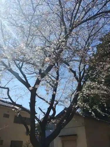 雀ノ森氷川神社の自然