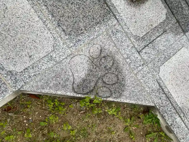 西泉寺(福島県)