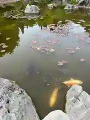 當麻寺 奥院(奈良県)