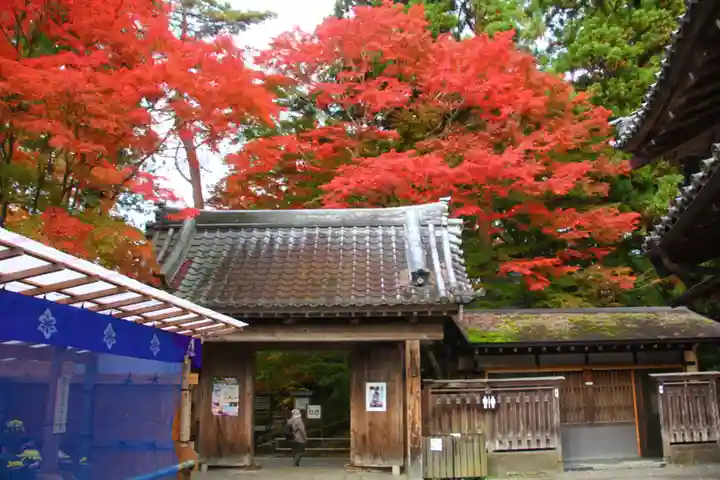 中尊寺金色堂(岩手県)