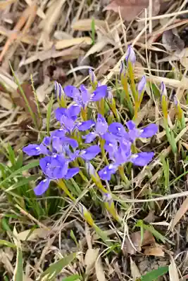 鎌大師堂(愛媛県)