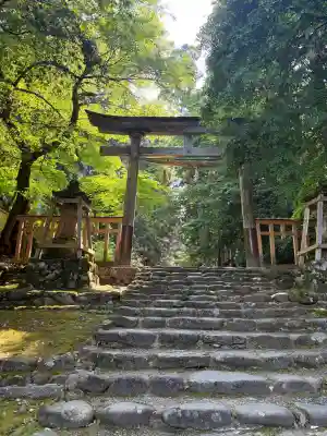 平泉寺白山神社の{uncategorized: "未分類", other: "その他", undefined: "問題あり", building: "その他建物", grave: "お墓", sacred_gate: "鳥居", guardian: "狛犬", statue: "像", buddha: "仏像", history: "歴史", nature: "自然", garden: "庭園", animal: "動物", pagoda: "塔", temizu: "手水舎", mountain_gate: "山門・神門", sanctuary: "本殿・本堂", subordinate: "末社・摂社", art: "芸術", scenery: "景色", jizo: "地蔵", ema: "絵馬", goshuin: "御朱印", omikuji: "おみくじ", items: "授与品その他", amulet: "お守り", goshuincho: "御朱印帳", eats: "食事", festival: "お祭り", votive_dance: "神楽", shichigosan: "七五三参", wedding: "結婚式", experience: "体験その他", initially: "初詣", around: "周辺", anti_infection: "感染症対策"}
