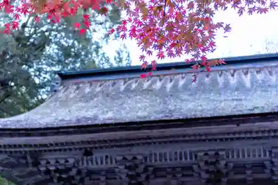 大矢田神社(岐阜県)