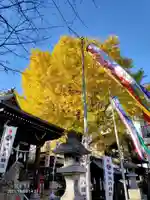 宇迦八幡宮のその他建物