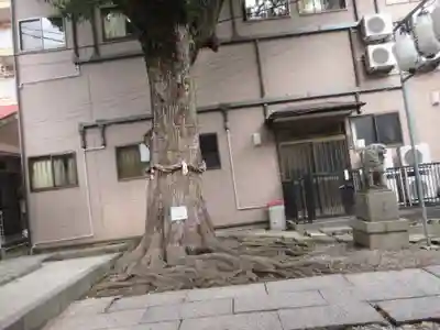 子神社(神奈川県)