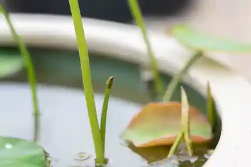 大久寺(神奈川県)