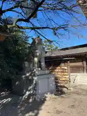 寒川神社の狛犬