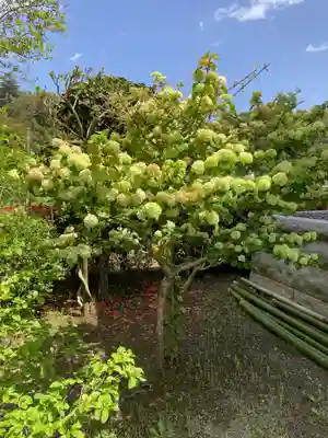 西光寺(神奈川県)