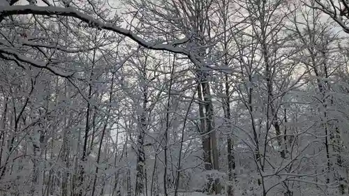 上川神社の自然