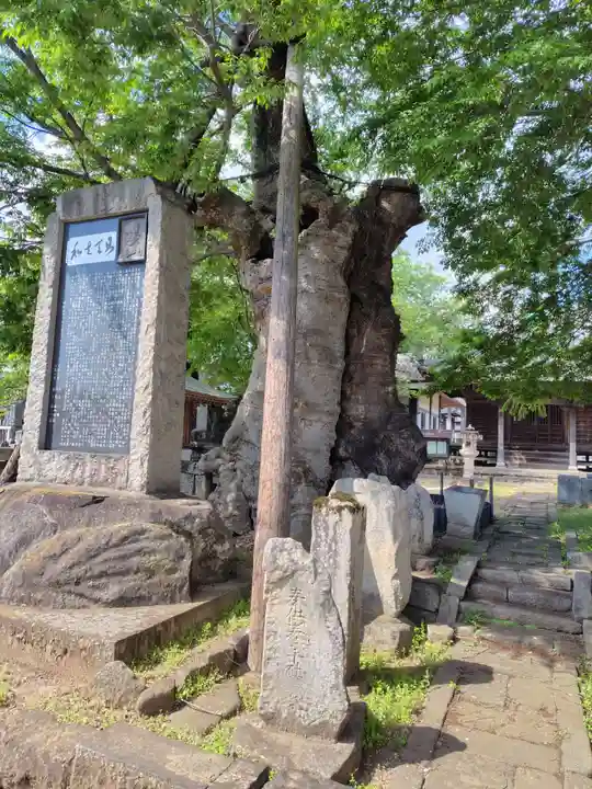 密弘寺(茨城県)