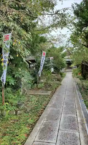 泉蔵院の庭園