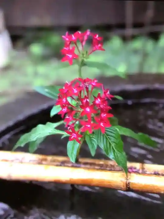 陽運寺(東京都)