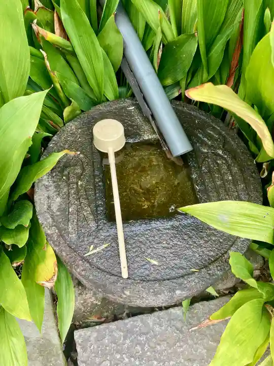 清源寺の{uncategorized: "未分類", other: "その他", undefined: "問題あり", building: "その他建物", grave: "お墓", sacred_gate: "鳥居", guardian: "狛犬", statue: "像", buddha: "仏像", history: "歴史", nature: "自然", garden: "庭園", animal: "動物", pagoda: "塔", temizu: "手水舎", mountain_gate: "山門・神門", sanctuary: "本殿・本堂", subordinate: "末社・摂社", art: "芸術", scenery: "景色", jizo: "地蔵", ema: "絵馬", goshuin: "御朱印", omikuji: "おみくじ", items: "授与品その他", amulet: "お守り", goshuincho: "御朱印帳", eats: "食事", festival: "お祭り", votive_dance: "神楽", shichigosan: "七五三参", wedding: "結婚式", experience: "体験その他", initially: "初詣", around: "周辺", anti_infection: "感染症対策"}