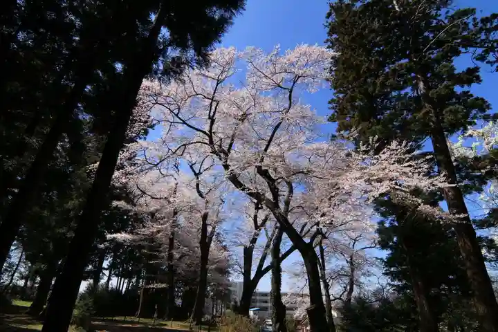 神炊館神社 ⁂奥州須賀川総鎮守⁂の庭園