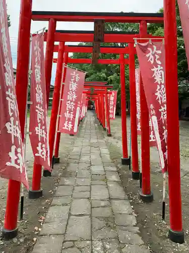 於菊稲荷神社の鳥居