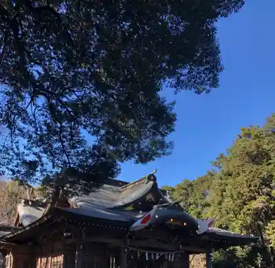 東村山八坂神社の本殿・本堂