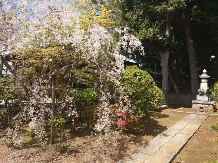 法華経寺のその他建物