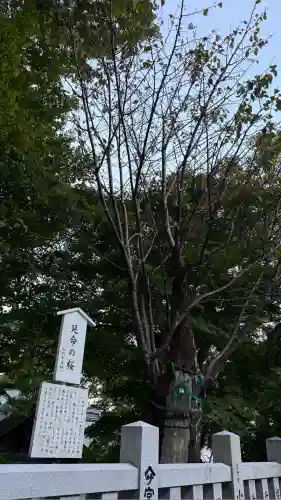 函館八幡宮(北海道)