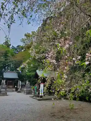 白鷺神社(栃木県)