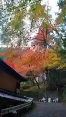 貴船神社の自然