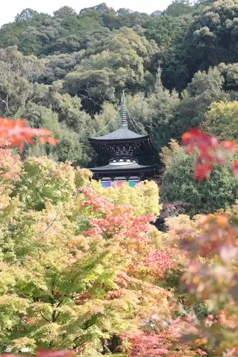 禅林寺(永観堂)(京都府)