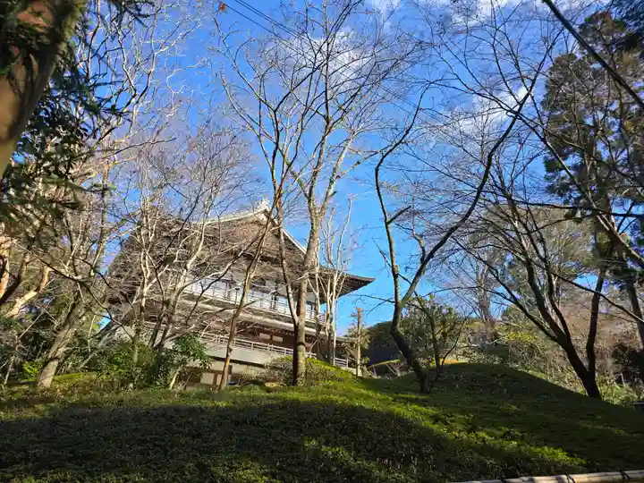 今熊野観音寺(京都府)