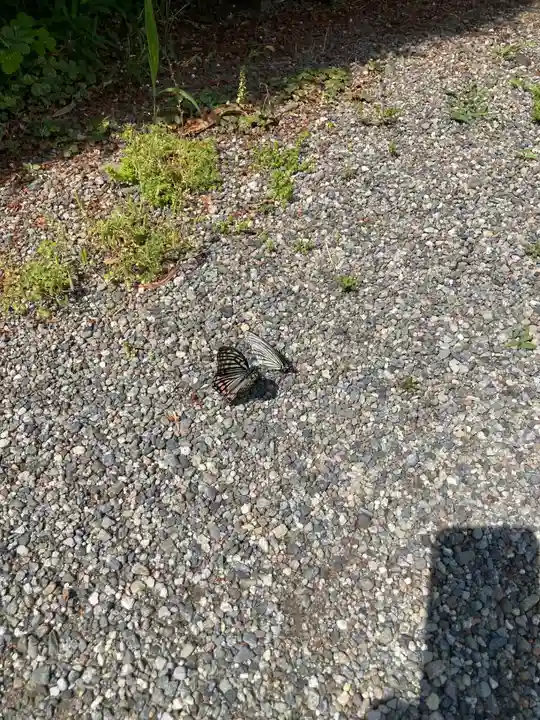 成願寺(神奈川県)