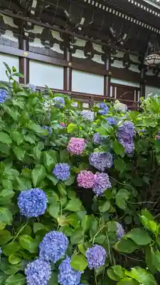  智積院(京都府)