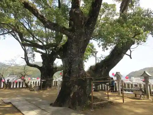 薬王寺(徳島県)