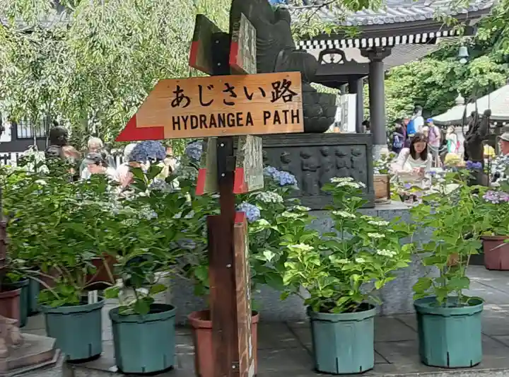 長谷寺(神奈川県)
