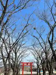 子檀嶺神社の鳥居