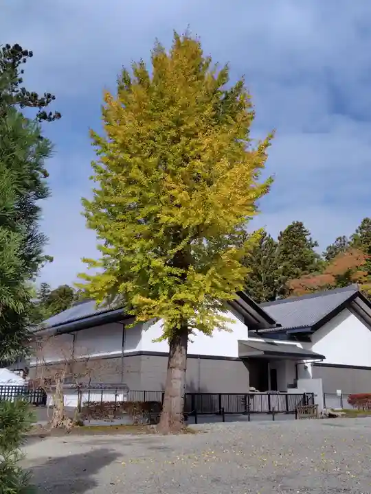 瑞巌寺(宮城県)