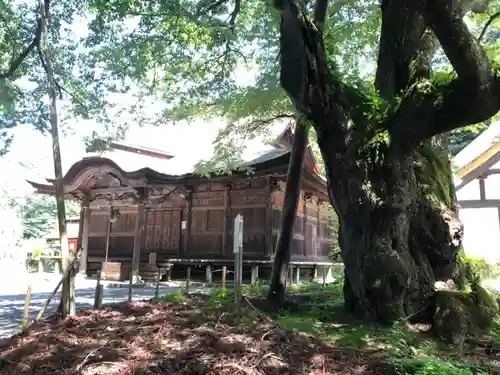 雲峰寺の本殿