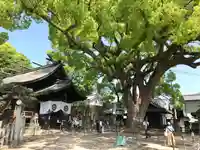 艮神社の自然