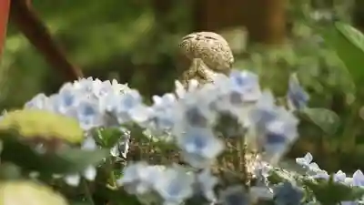 岡寺(龍蓋寺)(奈良県)
