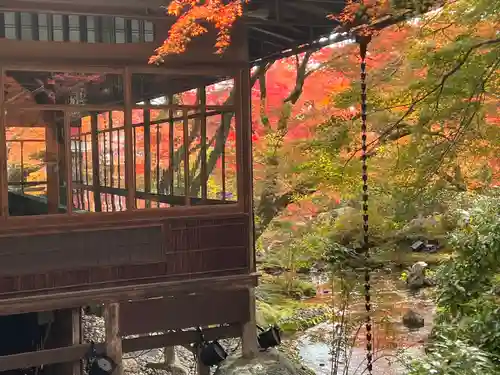 宝厳院(京都府)