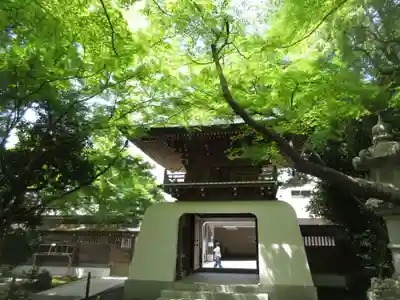 大正寺(東京都)