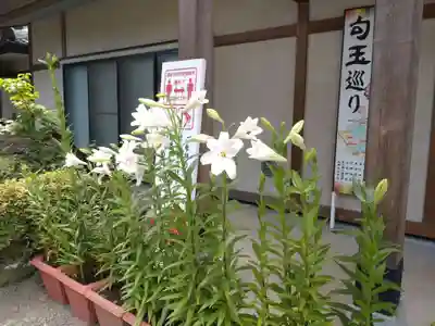 前川神社(埼玉県)