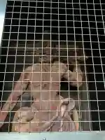 切幡寺(徳島県)