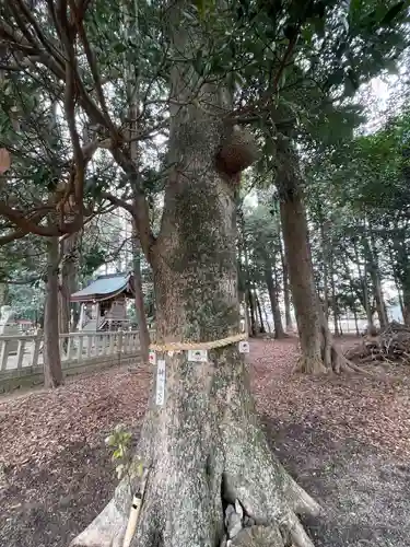 西之宮神社(滋賀県)