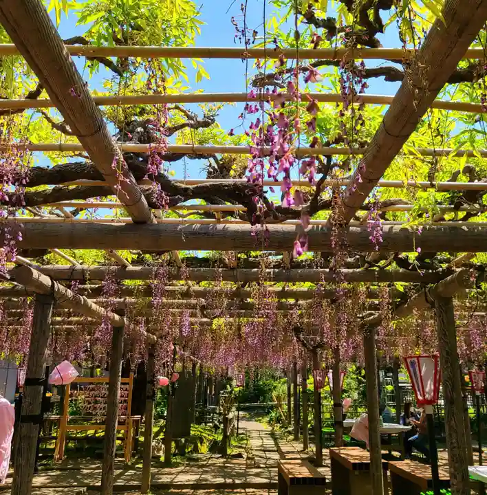 行興寺(静岡県)